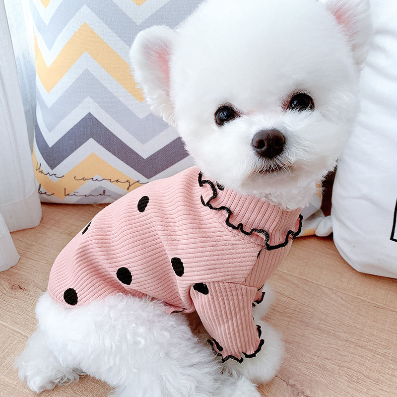 Small white dog wearing the pink polka dot turtleneck
