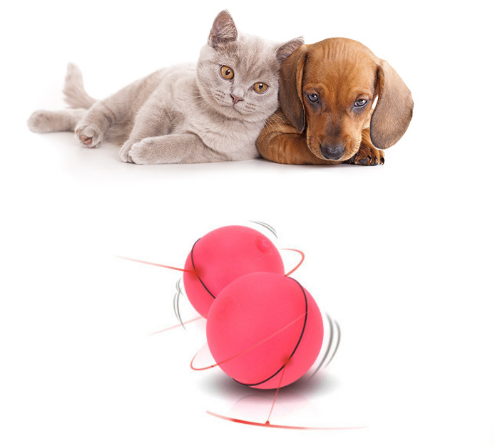 Rolling ball in motion beside a cat and dog