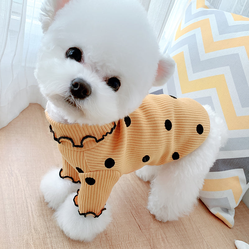Small white dog wearing the yellow polka dot turtleneck