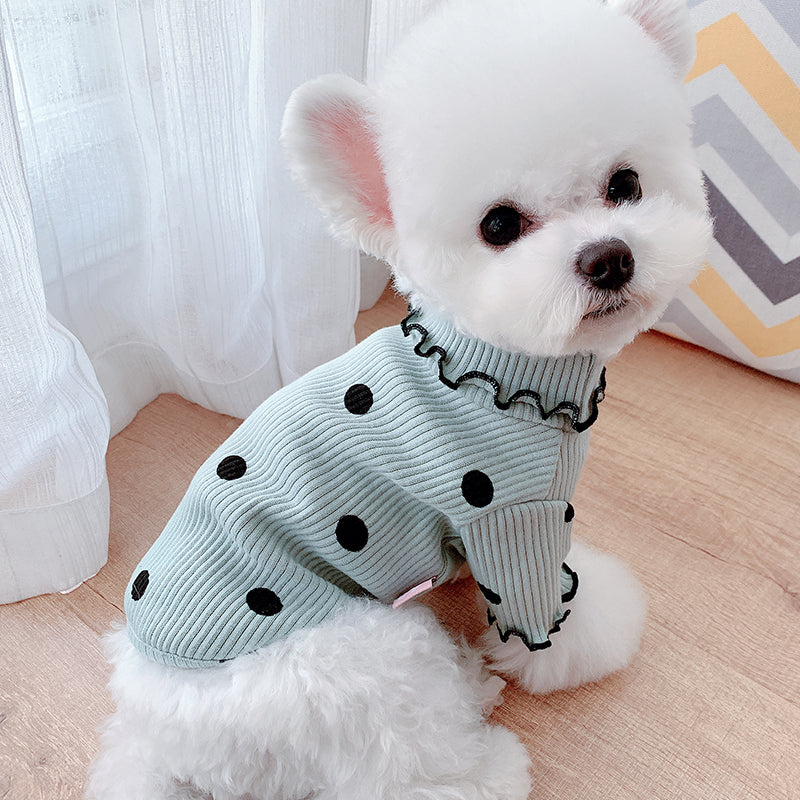 Small white dog wearing the green polka dot turtleneck
