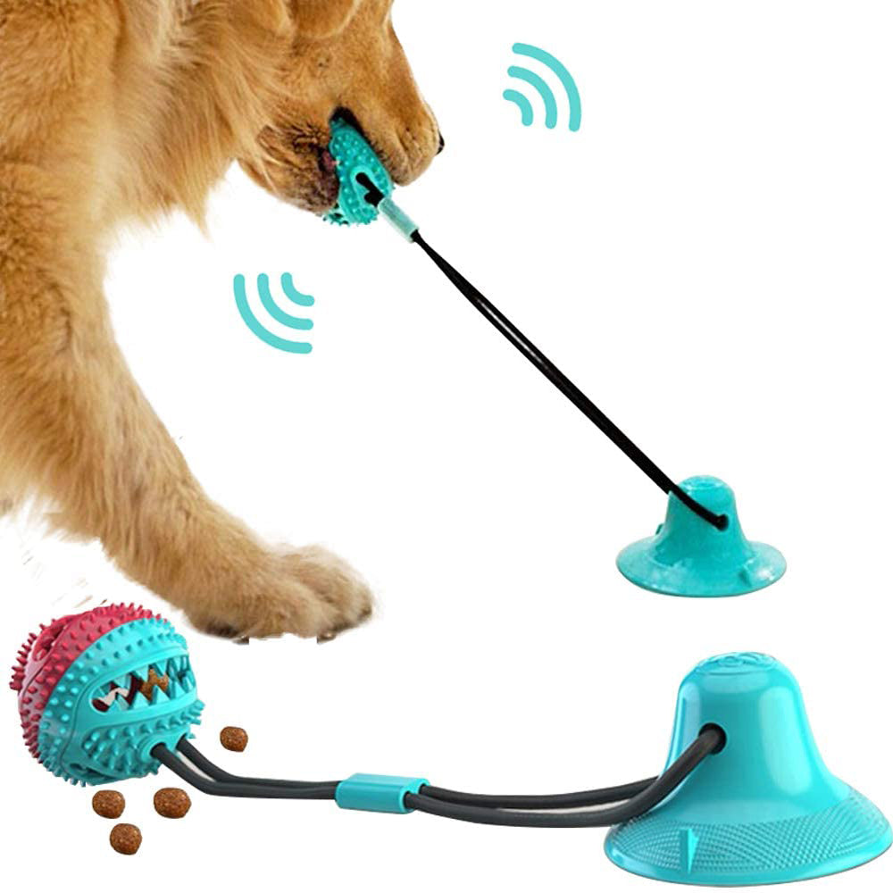Dog playing with suction cup tug toy