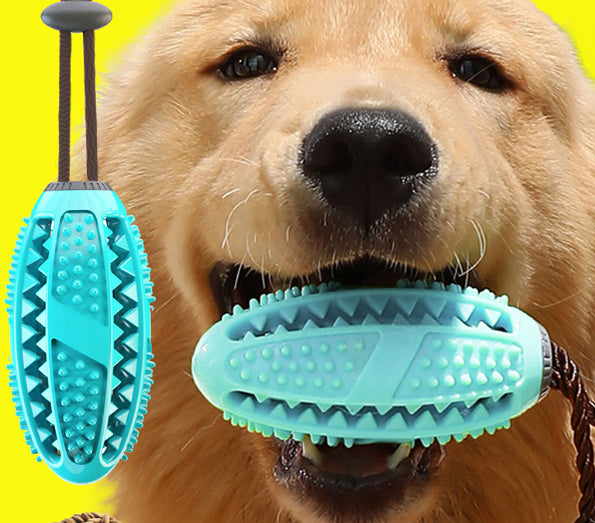 Teal bone chew tug toy