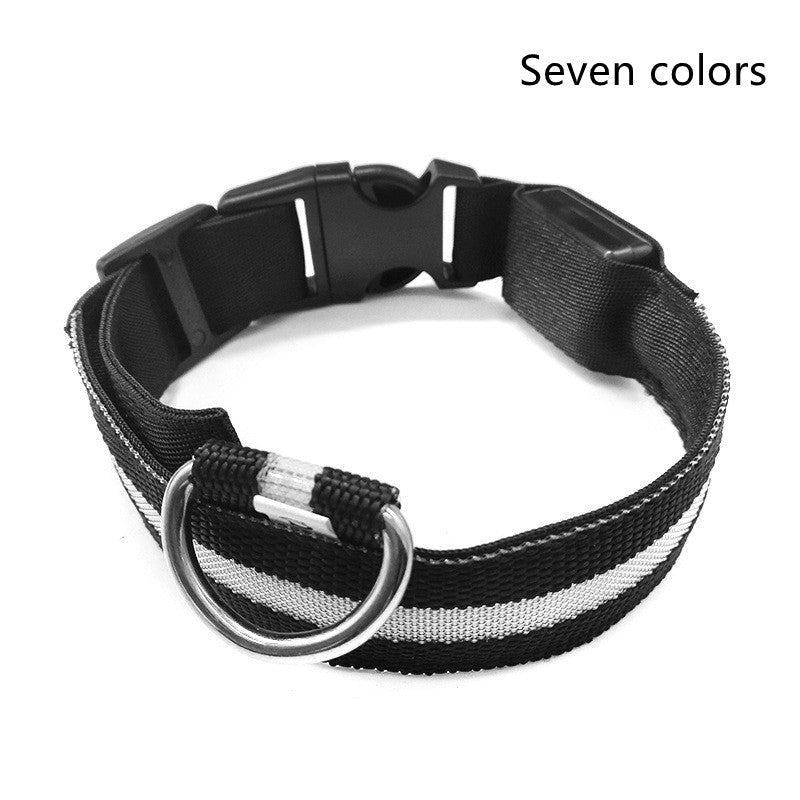 LED Safety Collar for Dogs