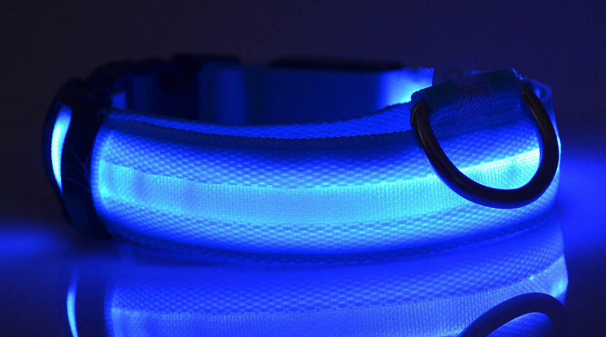 LED Safety Collar for Dogs