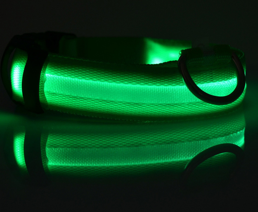 LED Safety Collar for Dogs